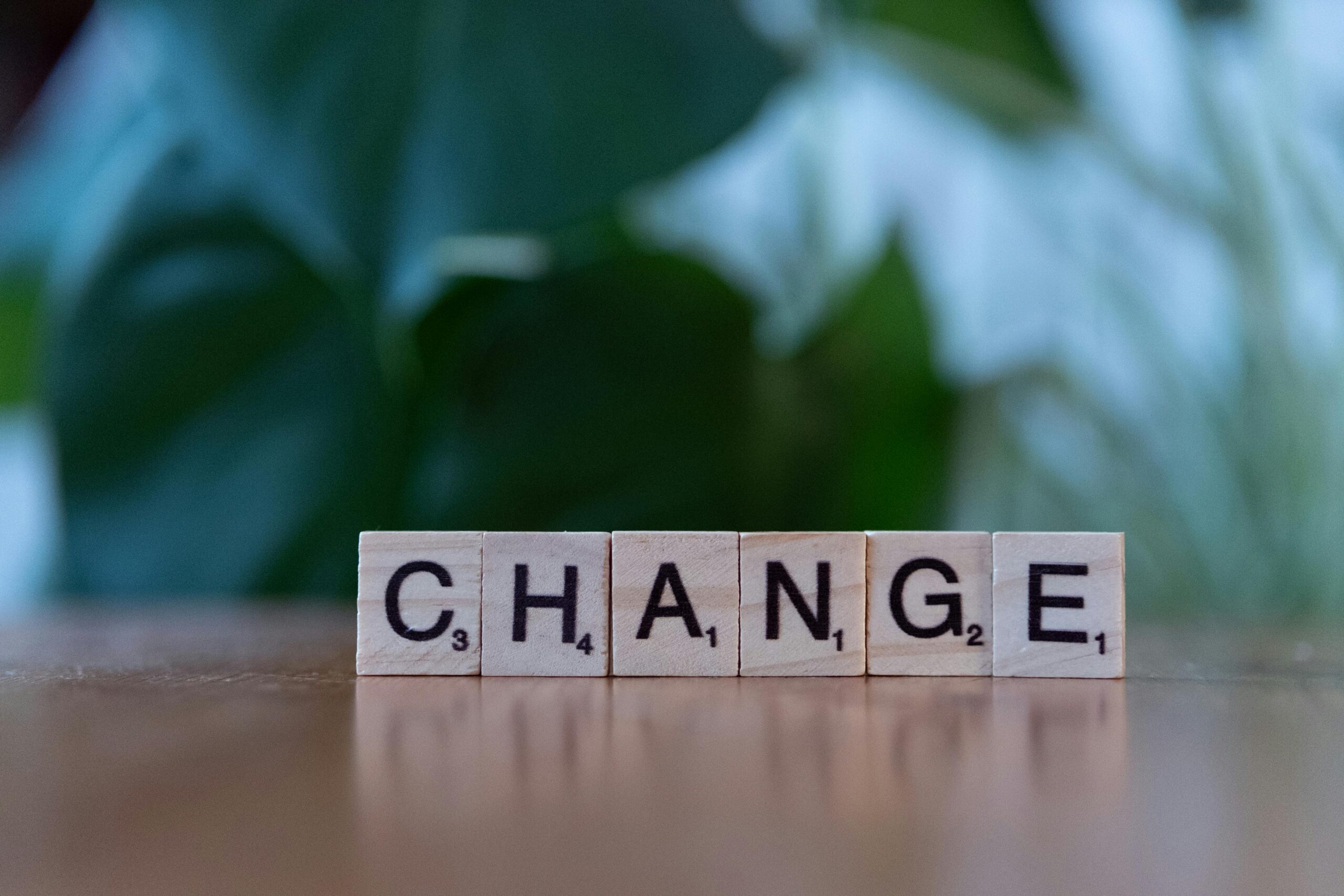 reconversion professionnelle dans le bien-être changement de voie professionnelle