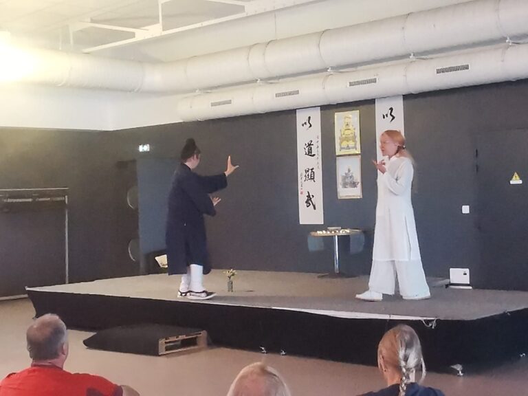 Stage avec Maître YUAN LIMIN Wudang Bagua et Qi Gong