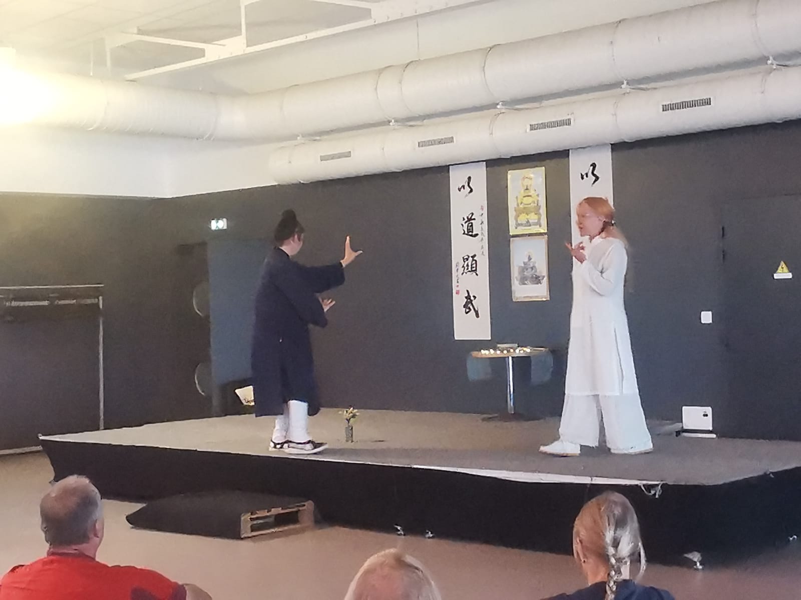 Stage avec Maître YUAN LIMIN Wudang Bagua et Qi Gong